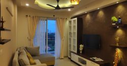 2 BHK DLF FULLY FURNISHED LUXURY FLAT FOR SALE