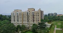 BRAND NEW 3 BHK PLUS SERVANT -DLF- PROJECT KAKKANAD